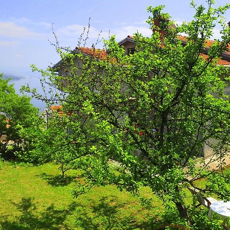 Guesthouse Bellavista オパティヤ エクステリア 写真